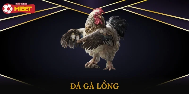 Đá Gà Lồng